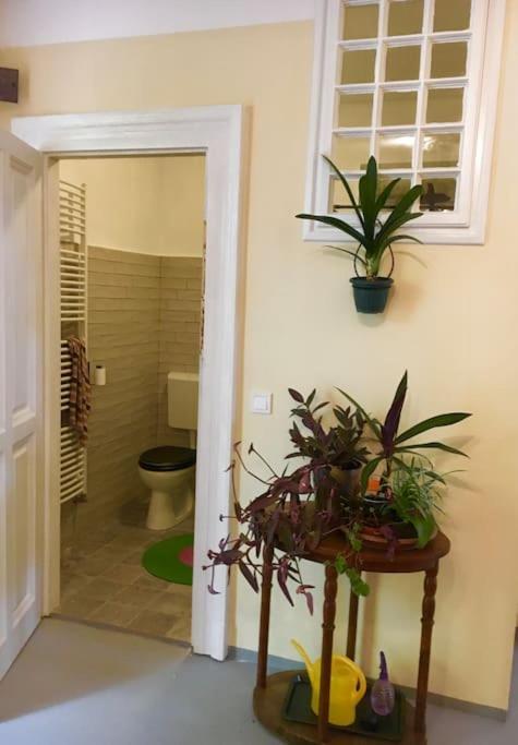 Vintage Studio Apartment, Garden And Free Parking Budapeszt