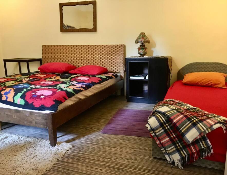 Vintage Studio Apartment, Garden And Free Parking Apartment *