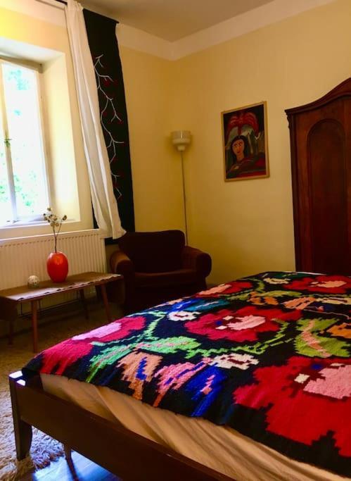 Apartment Vintage Studio Apartment, Garden And Free Parking Budapest