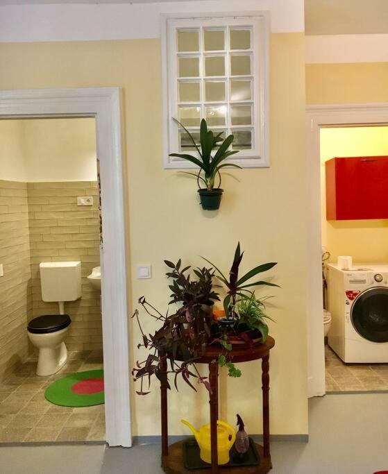 Apartment Vintage Studio Apartment, Garden And Free Parking Budapest